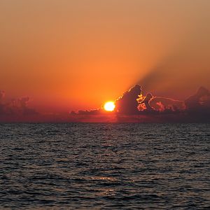 D50D2802-90CA-4001-BC97-D61550C48C4B