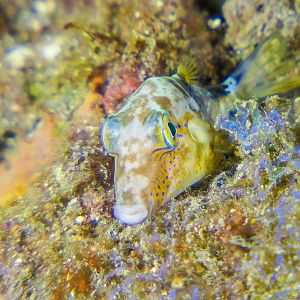 53F41FFE-A6F7-4DD3-AAAE-784D721026A4