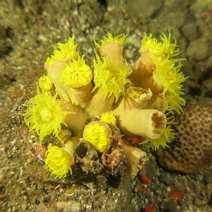 A5E61088-0AD2-4FD3-9407-D15C13866666