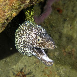 8DAE4EB0-20B9-4E8D-9716-92125C6B761E