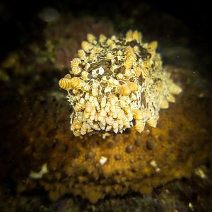 87F6D80F-590C-4003-AD11-39BB33A45036