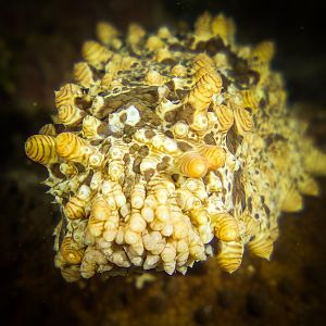 427F9D55-E568-4062-A97E-5415EEEF59A3