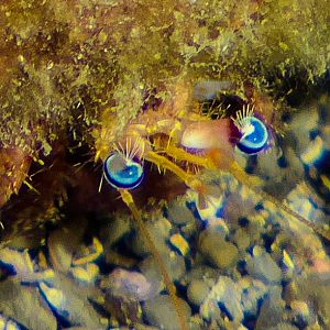 BAE7D554-8293-447F-ADD9-08AB9B6803B0