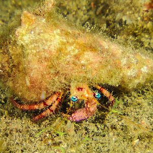 BE7AB853-6655-4845-98DC-14D885A26CD4