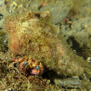 22B10E5E-17F4-4DA4-9D48-C1C27C369356