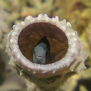 45714B77-24F7-41BF-8C7B-4AD533C6EBAC