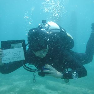 1. Siren's 150th Dive - June Elk Rapids, MI