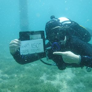 3. Read My Sign Siren's 150th Dive - June Elk Rapids, MI