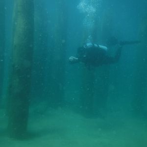 Siren With The Pilings 06 - June Elk Rapids, MI