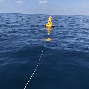 Kraken buoy