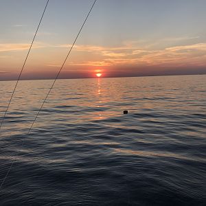 Flat night at Stetson