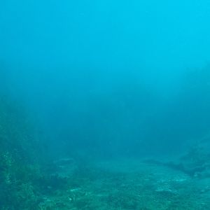 C8C95771-08E3-4882-A772-F84DBB752487