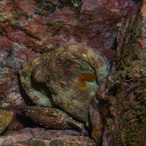 20BC4125-5888-4C0A-9875-F4C4F69B3229