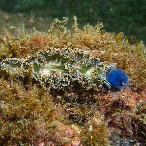 AB00CD0B-B369-41A1-A7C2-20D04CAB435A