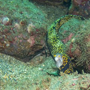 7073EB9A-55D2-41FB-BA3F-01525A3F7D13