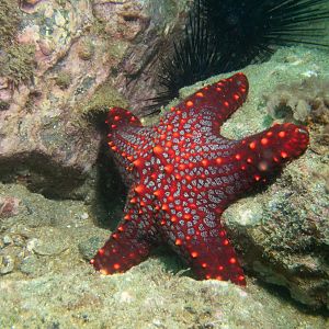 6F5A7A77-6C3E-4EB3-BB24-B06D45E82683