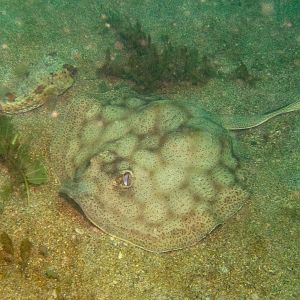 EDECDE42-7730-4828-92E1-8681409560B9