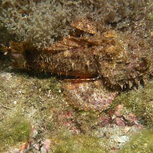 97EBF2C1-0C7F-485E-B4F3-2B6C83FB4EBA