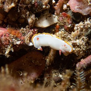 AE0345B6-A862-41C7-A18E-C3F49E8B35C5