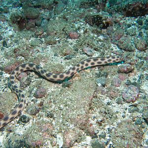 E4FD3B87-DABF-4826-8E67-B6ADBEF40E85