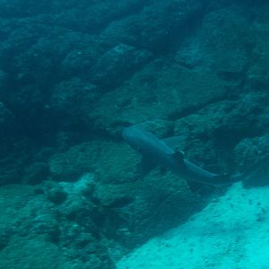 691B1596-DB0A-4FEF-84C2-4C7E07785892