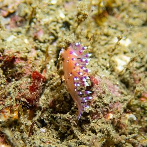 268CB0B8-F6E5-401D-A0D8-5D270B9791E3