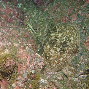 F3A039AE-DB1A-41E0-B457-30B2E0D9D602