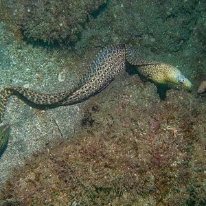 86D274A0-0145-4500-B991-FF6E629E5143