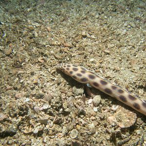 B0E02DF7-DA82-475D-9FA2-5F9E389E50E3