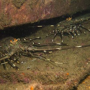 9115C2CC-7EA3-422F-85EF-B77BE435D0F5