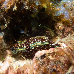 63042060-6C90-4532-A1C7-AB0E9352D130