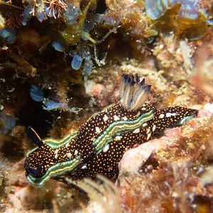 3350B6FE-F16B-4EF8-85FC-F130984825F9