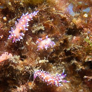 D13DB033-AB6D-4443-88D4-323B1D7C6DCC