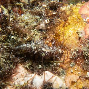 2856D84D-FC40-4234-A6B0-16463116A0E6