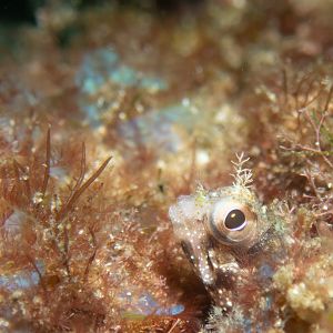 6F5B6E8B-F593-495E-808C-BC14165809AF