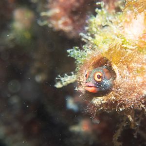 E1B216B2-CE05-4A12-BF8B-94C5B02D64A1