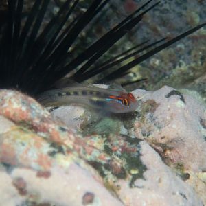 F01EA5D1-6AFC-426F-930B-28550AC1319A