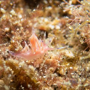 0E5E511D-D851-4ABE-8EEA-19BF166BEDB1