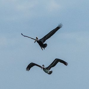 P1170242