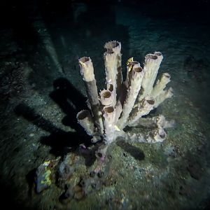 024FF97C-1693-4EE8-9CFE-E31CC4ADED66