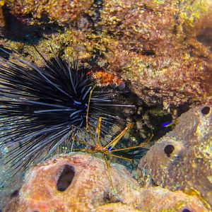 73690F6E-8C8E-4159-87EB-0FFDEF4CB3DE