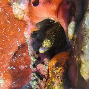 6D6D0F15-2AC0-482D-9270-5A8377CCD0BA