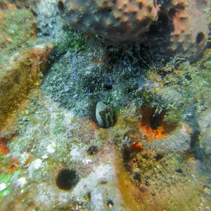 6682A99C-8DBE-4421-9ADC-1BE7B156515E