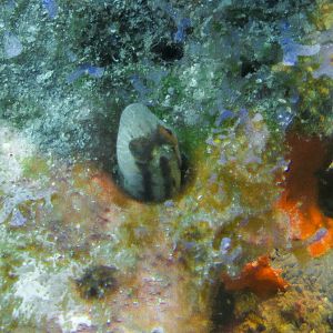 14012673-B0DF-498B-ABC0-FB9460EDEF4D