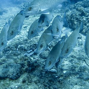 E4484BD0-8A2A-4406-BCDE-70A138924EF5