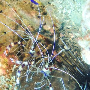 89C90C0C-6836-4A68-BFB8-AB1918457F4F