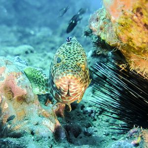 0D6D8863-B4E6-44E0-9E76-308F62D6EEED