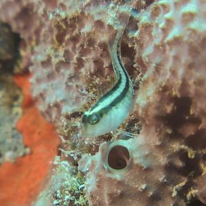 C5AD0C29-28A1-4E99-958A-1E27C7C47507