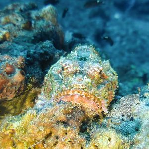 2A29695E-E11C-4F06-B73D-E6172538ADB4