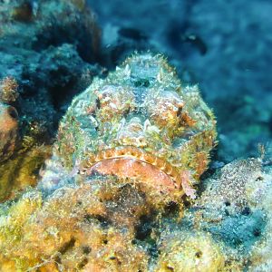 0BC2502B-B2B6-4961-93A0-CAF71EA9AD87